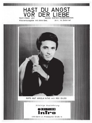 cover image of Hast du Angst vor der Liebe